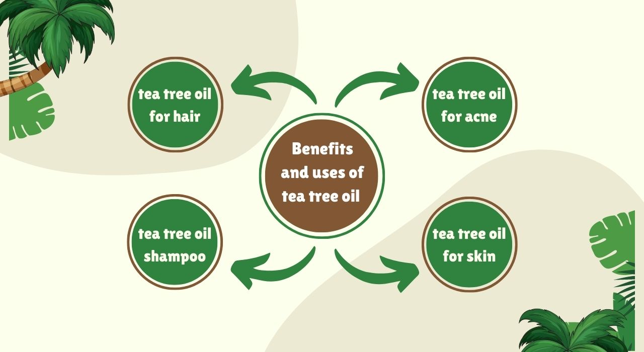 tea tree oil, tea tree oil uses, tea tree oil for acne, tea tree oil for hair, tea tree oil shampoo, tea tree oil benefits, tea tree oil for skin, benefits of tea tree oil, tea tree oil for nail fungus